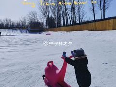 -1982农场