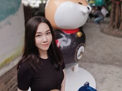 -柴犬高等学院·狗咖·柴犬售卖·宠物训练