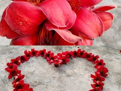 -风云岭森林公园