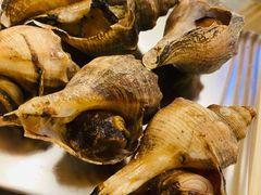 盐烤海螺-白仁仔· 活烤海鲜 宵夜(豫园店)