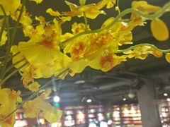 -新华书店(印象城店)