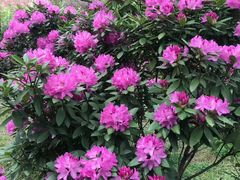 -名花谷生态庄园