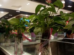 -嘉和一品粥(政府街店)