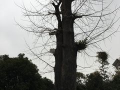 -炎帝陵景区