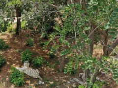 -石家庄市动物园