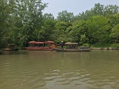 -溱湖国家湿地公园