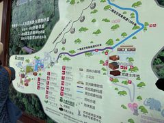 -野象谷景区