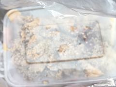 -老王豆皮