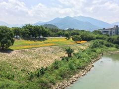 -福建鲤鱼洲酒店