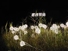 -香山湖公园
