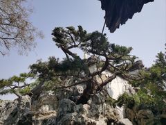 -何园
