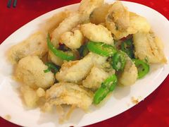 -蛇口康乐快餐鱼仔档(翠苑小区店)