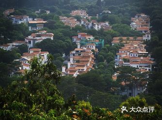发现深圳宝藏公园 | 森林别墅 人少空气好 