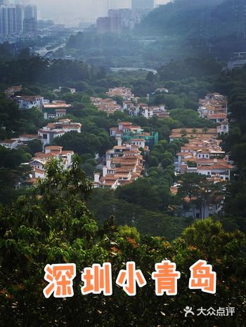 发现深圳宝藏公园 | 森林别墅 人少空气好 