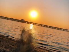 -宝安西湾红树林湿地公园