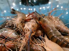 -诱货海鲜自助火锅(爱琴海购物公园东百店)