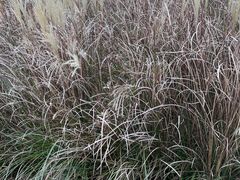 -上海市保健医疗中心