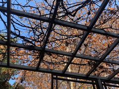 -春晖园度假酒店温泉