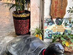 -梧州双钱龟苓膏(老街店)