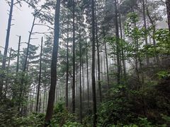 -莫干山风景区