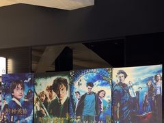 -奥斯卡升龙国际影城(RealD Cinema)