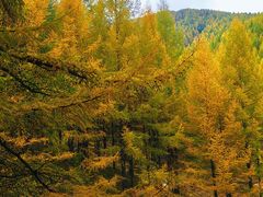 -苏木山森林公园