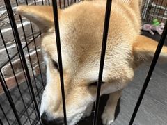 -呼吸沉浸式剧场(甘露园店)