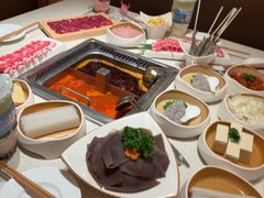 -海底捞火锅(吾悦国际广场店)