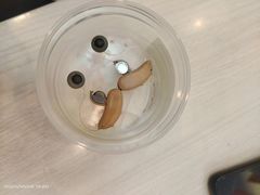 -自然之声助听器(平凉店)