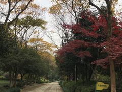 -杭州少年儿童公园