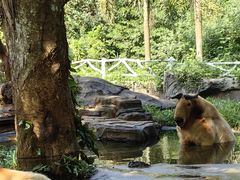 -海南热带野生动植物园