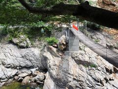 -黑河国家森林公园