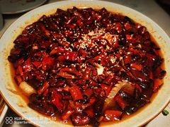 毛血旺-初蓉丨遇见新川菜(亲贤街荣耀店)
