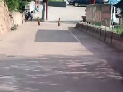 -黄村公园