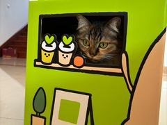 -奈雪的茶(松江万达店)