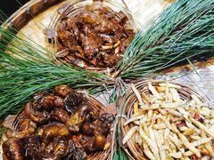 -昆虫窝子·特色云南菜(拓东路总店)