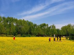 -北坞公园