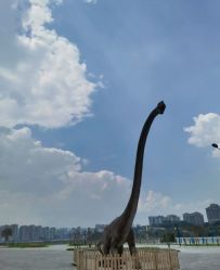 -恐龙探索乐园(磁器口店)