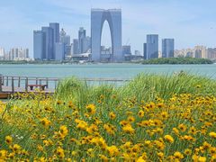 -金鸡湖景区