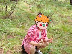 -苏木山森林公园