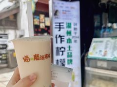 -猫的魔法密林(衣裳街店)