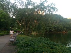 -晓港公园