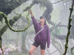 -洛阳白云山景区