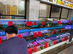 水产区-洲晓鲜·舟山海鲜大排档(朱家尖风景区店)
