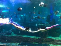 -石林冰雪海洋世界