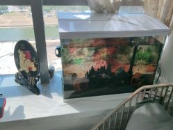 -ONE·男士国潮·美式渐变·理发馆·BARBER SHOP