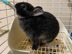 -龙猫仔乐园(惠福东路店)