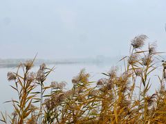 -野鸭湖国家湿地公园