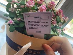 -鹿岛会员店 (龙湖三千集天街店)