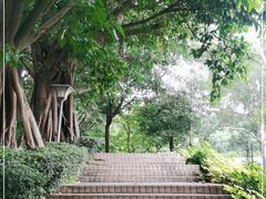 -广州市白云山风景名胜区